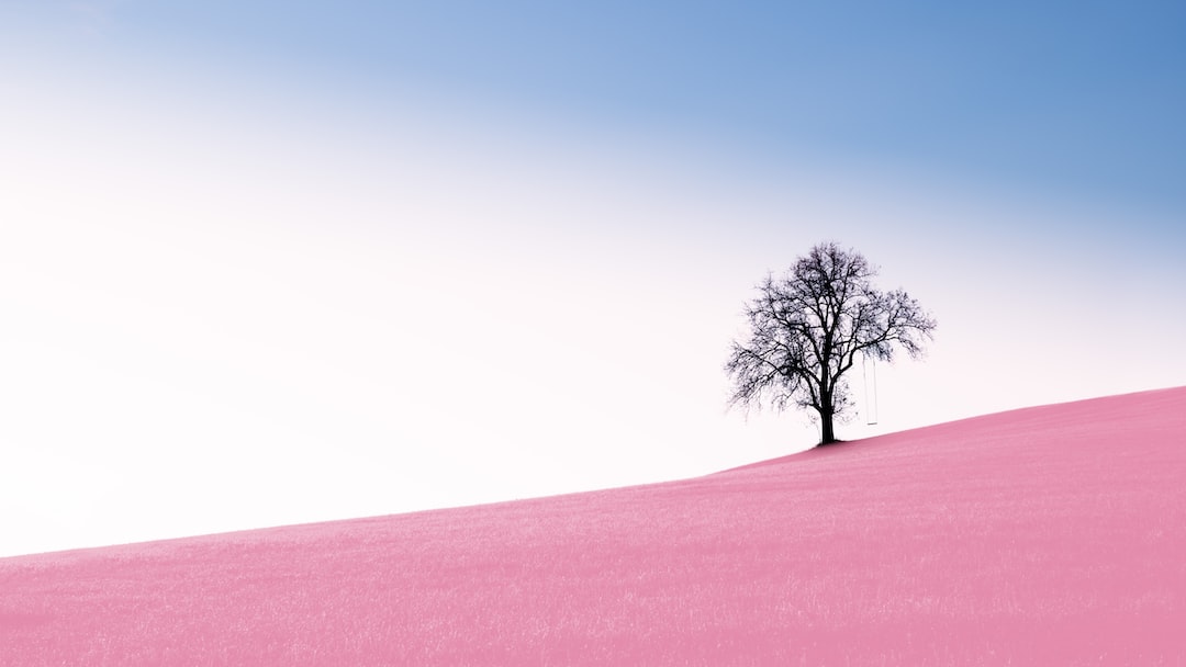 beau paysage