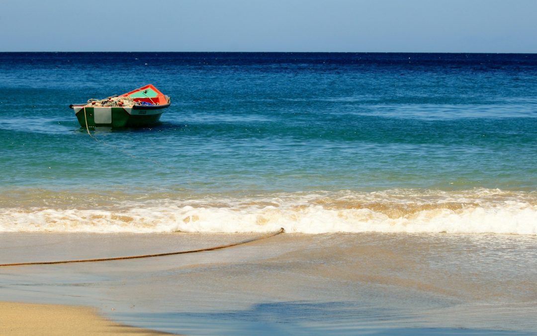 Déplacement en Martinique