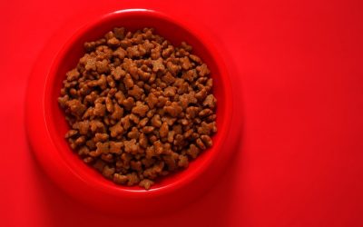 Croquette pour chat PERSONNALISÉE: la nourriture dont votre animal a besoin